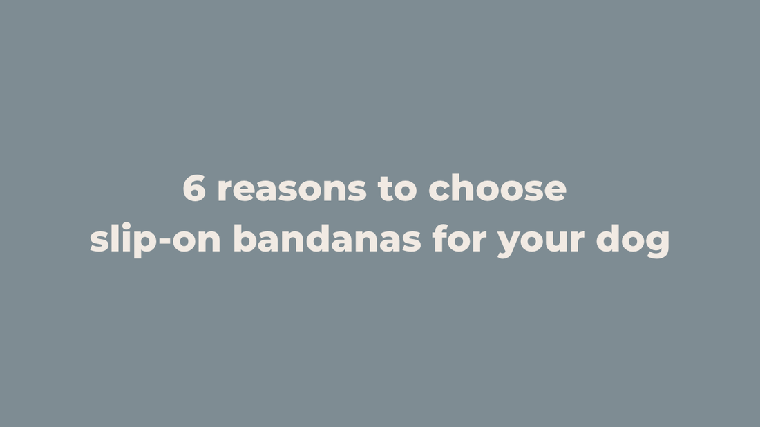 Why Slip-On Dog Bandanas Are Better (And Why Your Dog Will Love Them)