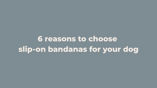 Why Slip-On Dog Bandanas Are Better (And Why Your Dog Will Love Them)