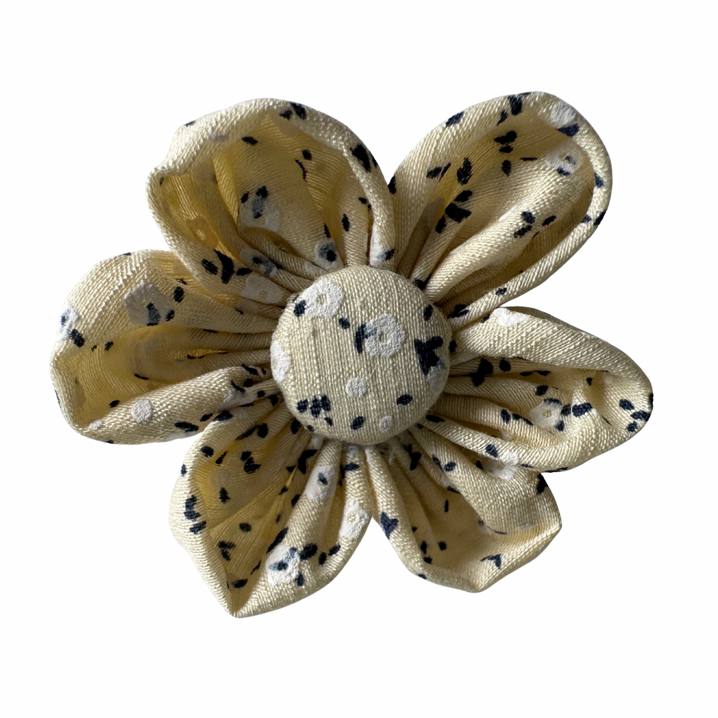 Collar flower, Light yellow with flowers