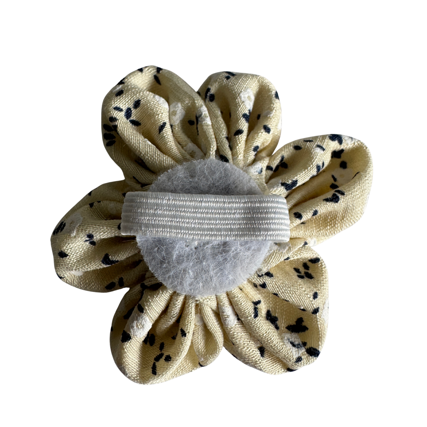 Collar flower, Light yellow with flowers