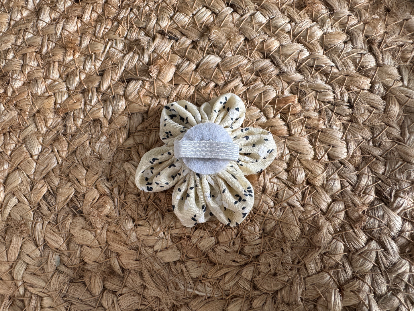 Collar flower, Light yellow with flowers