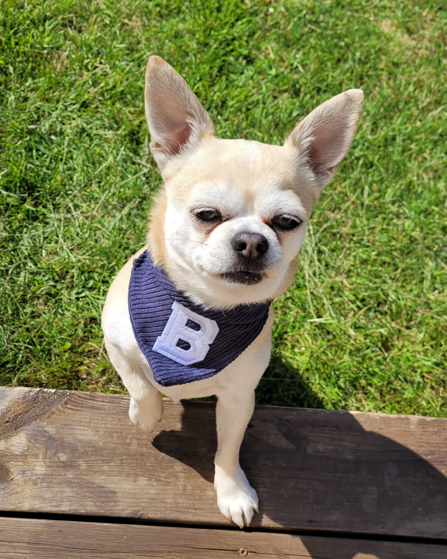 The Blue Corduroy Bandana