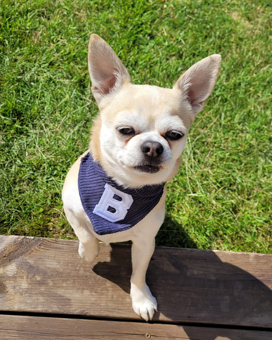 The Blue Corduroy Bandana